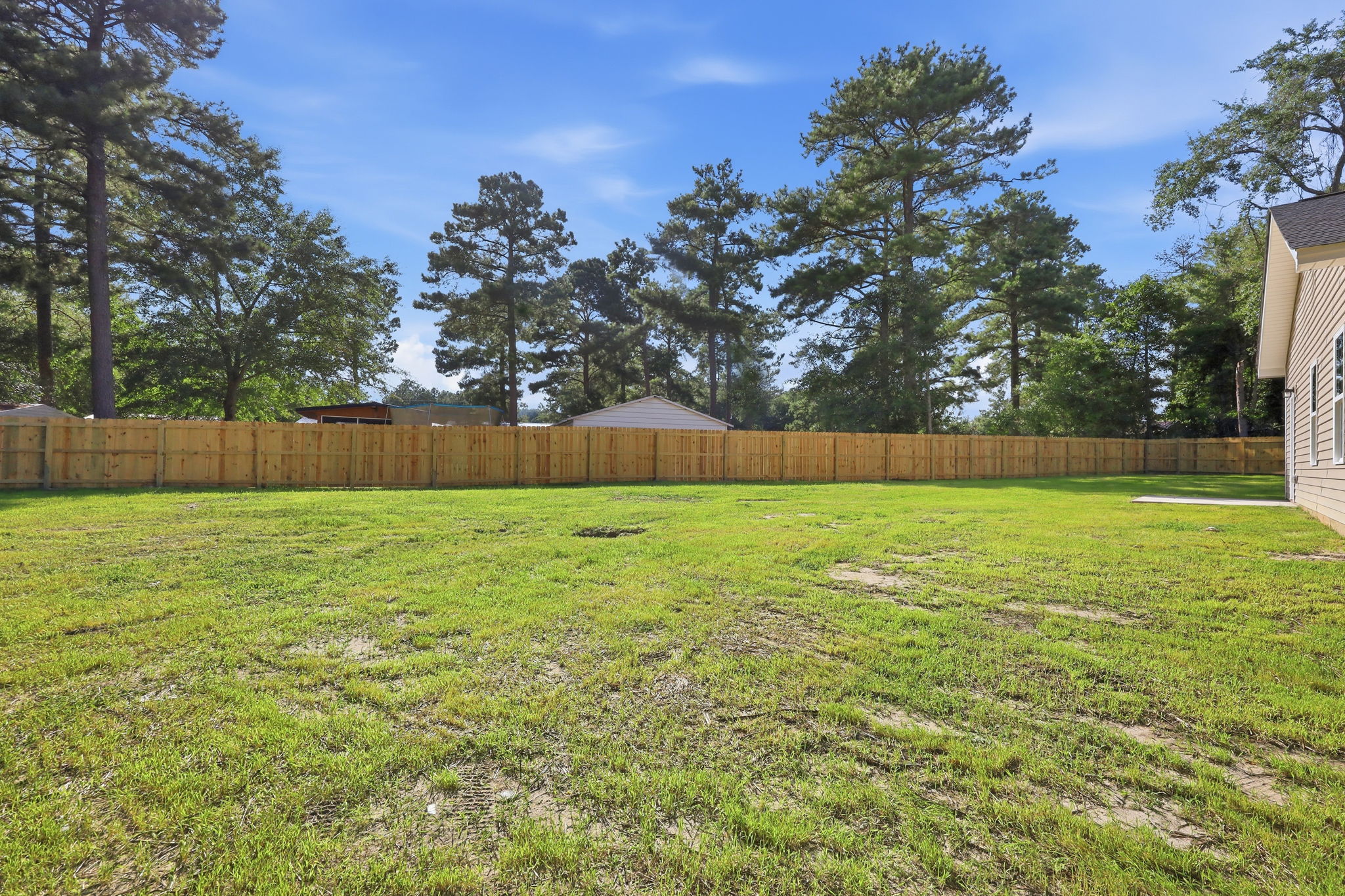 Open Outdoor Space at The Eliora by Covenant Construction Group